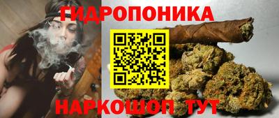 винт Будённовск