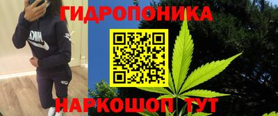 винт Будённовск